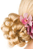 Image of easiHair Formal Affair Hair Pieces grace 24b27c main
