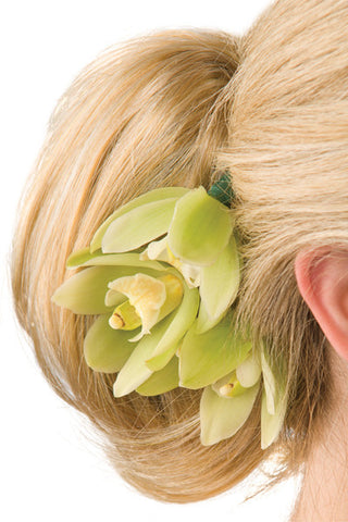 Image of easiHair Formal Affair Hair Pieces poise 24b613 main